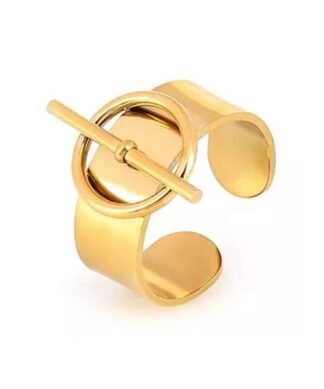 Acier inoxydable bague